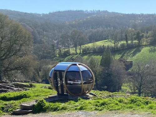 Medium oval house - oval, garden