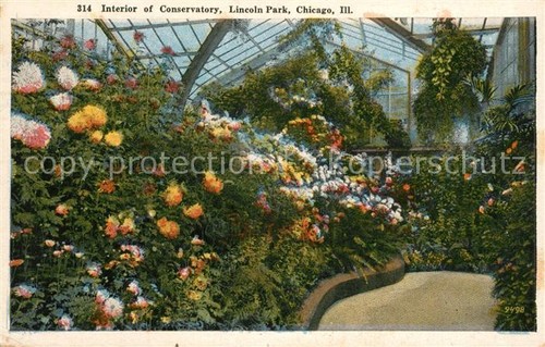 Chicago illinois garden shed - chicago,